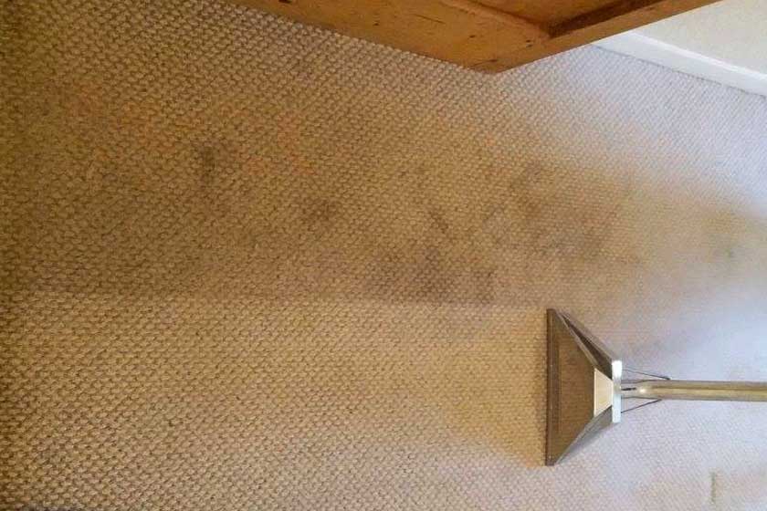 carpet-washing